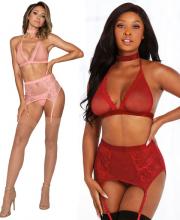 11776 Dreamgirl Fishnet and lace set